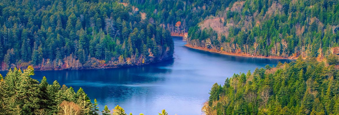 自然環境との調和「⾃然共⽣社会の実現」